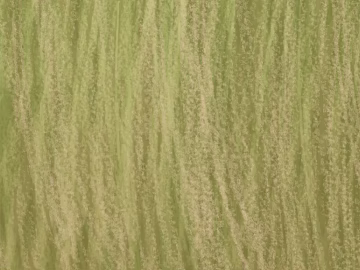 Plain pattern carpet texture (ID:ffacg59343)