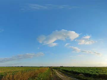Wild Scenery texture (ID:ffajg05975)
