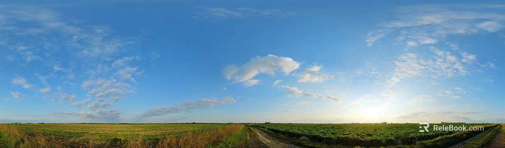 Wild Scenery texture