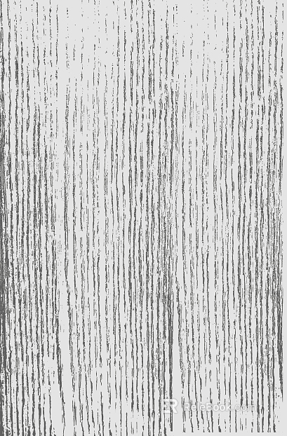 Black and white wood grain texture
