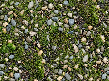 turquoise moss cobblestone ground texture (ID:ffaeh222761)