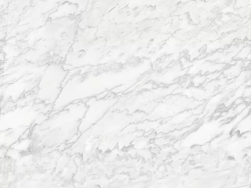 marble white porcelain plate seamless texture (ID:ffacg21751)