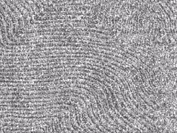 Art gravel grain texture (ID:ffach535704)