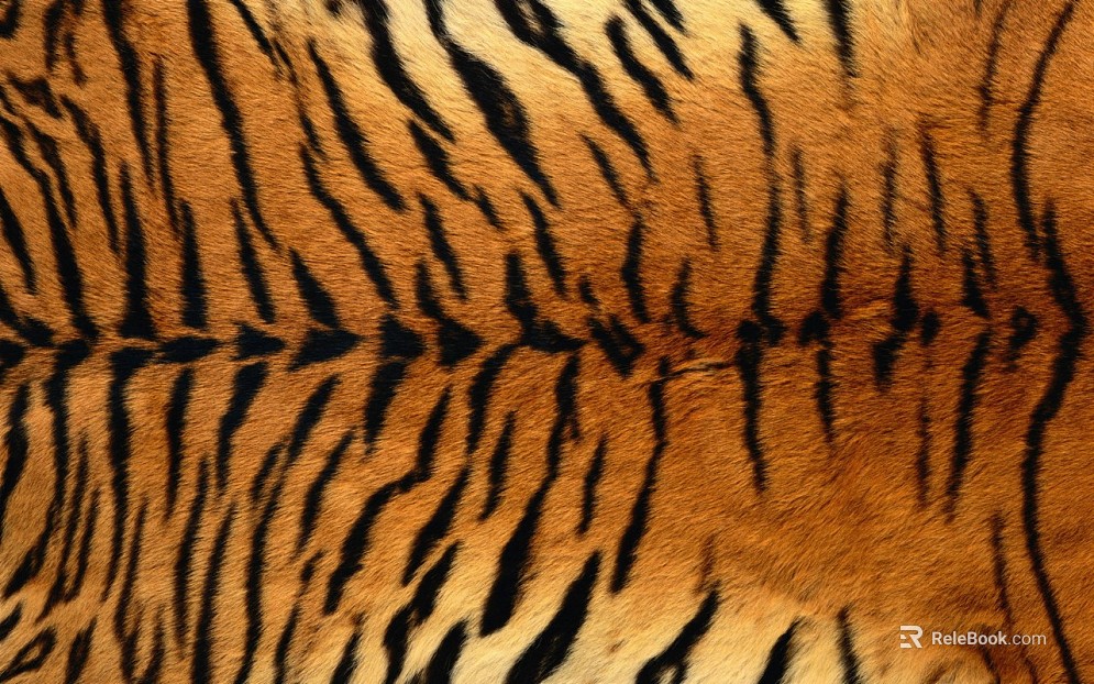 Animal Blanket texture