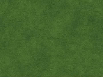 Turf texture (ID:ffach554016)