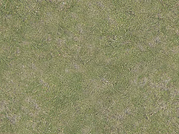 Grassland texture (ID:ffaeg50403)