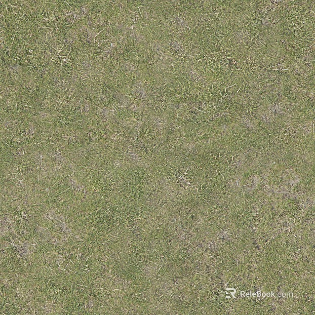 Grassland texture