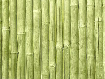 Bamboo texture (ID:ffabg47411)