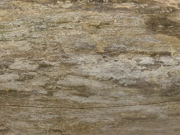 old wood texture (ID:ffajg02527)