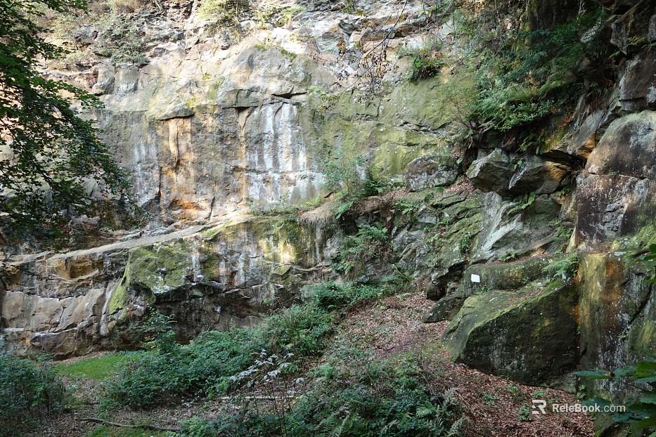mountain rock wall texture