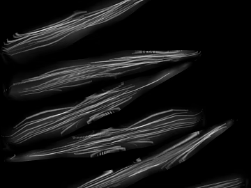 Black and White Line Bump Texture Map texture (ID:ffaeh321824)