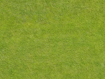 Turf texture (ID:ffacg01640)