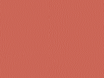 Coarse-grain leather texture (ID:ffabg00091)