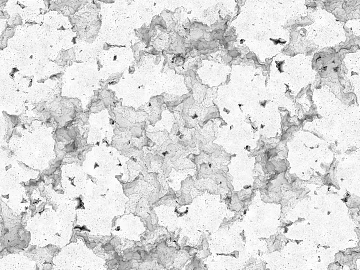 Highlight Mask texture (ID:ffabg55894)