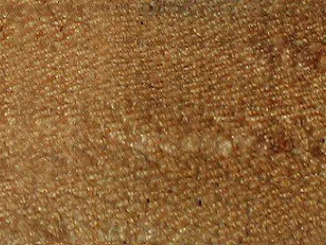 camel velvet soft fabric 3d model
