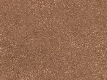fine grain leather texture (ID:ffagg22787)