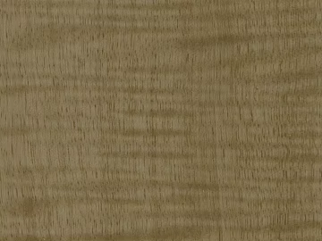 Wood grain Verdo maple shadow texture (ID:ffajg54266)