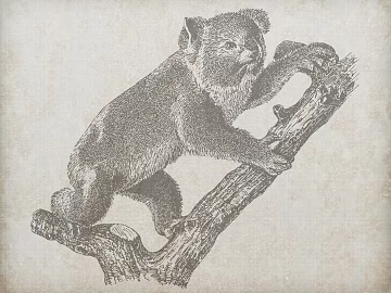 Animal painting texture (ID:ffabg55018)