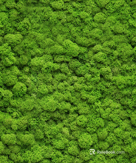 Plants texture