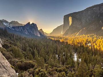 Wild Scenery texture (ID:ffabg12802)