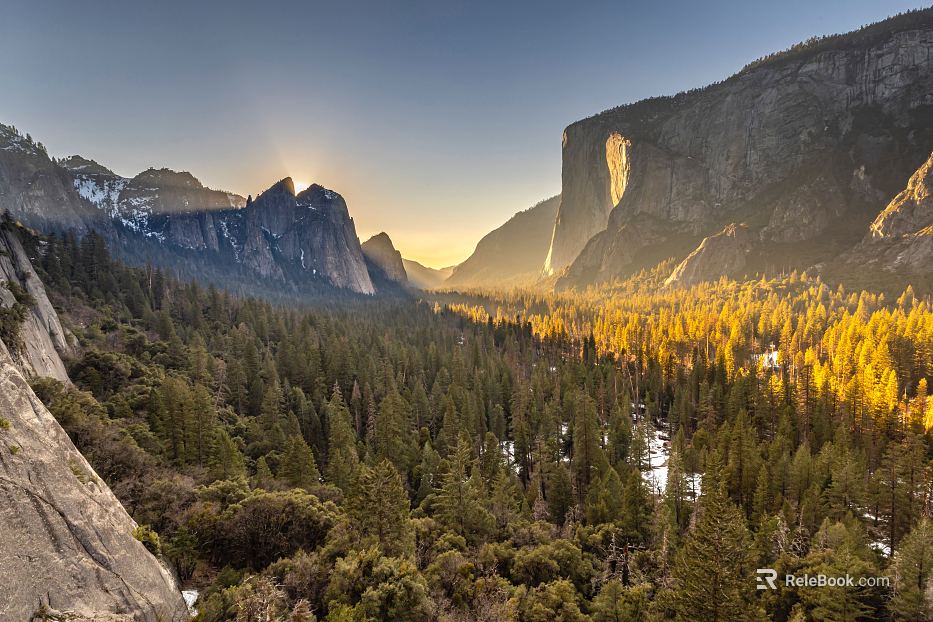 Wild Scenery texture