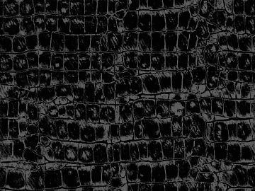 Black Crocodile-Embossed Leather texture (ID:ffaeh416534)