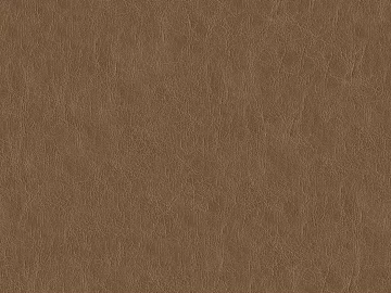 fine grain leather 3d model