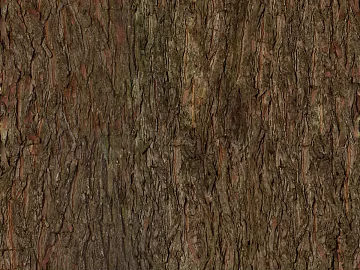 Dark brown bark natural texture (ID:ffaeh407359)