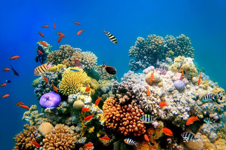 Fish tank texture