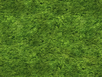 Turf texture (ID:ffabg12078)