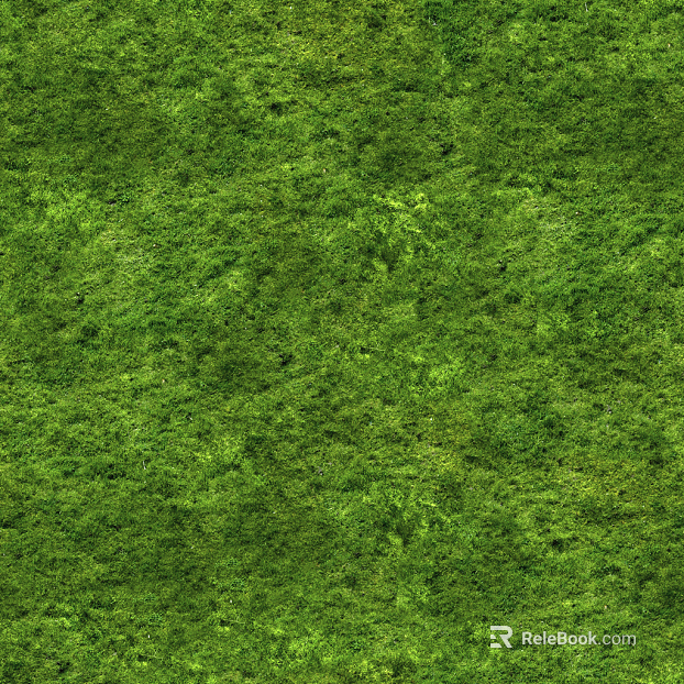 Turf texture