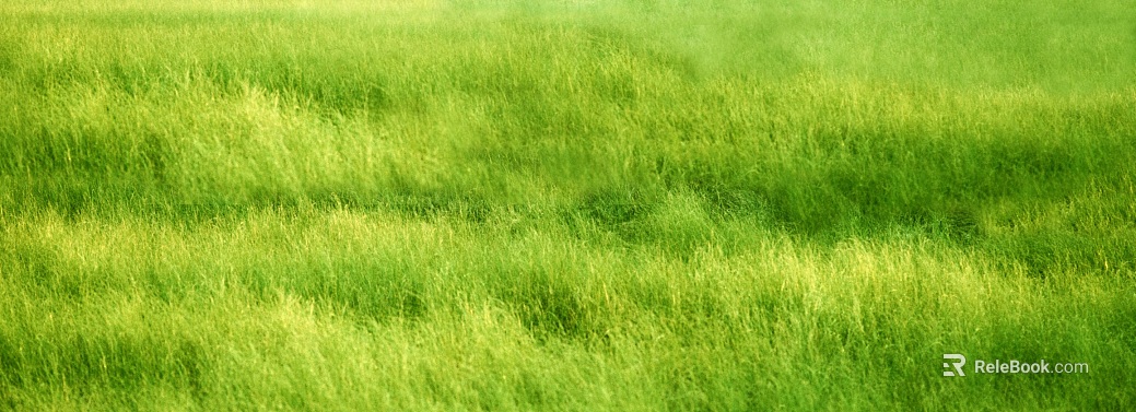 Tender green turf outdoor field texture