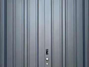 French entry door texture (ID:ffach027263)
