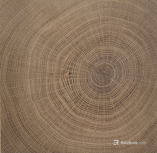 annual rings texture