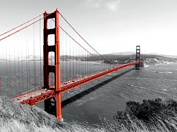 Wild Scenery texture (ID:ffaag39176)