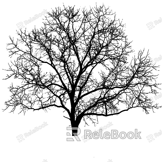 black and white tree shadow texture