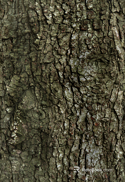 bark texture