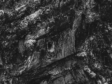 Black and White Bump texture (ID:ffagg64043)