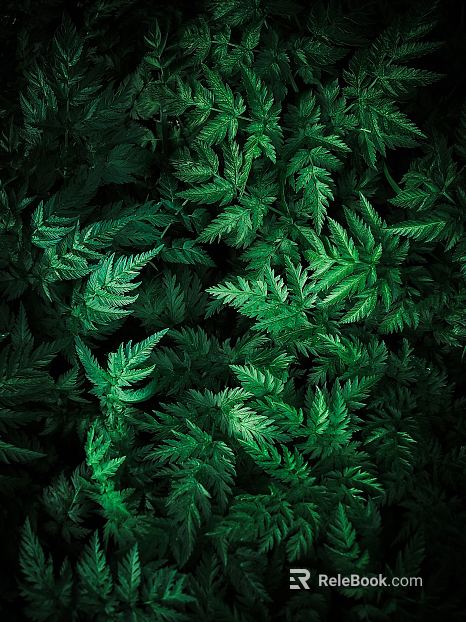 leaves texture