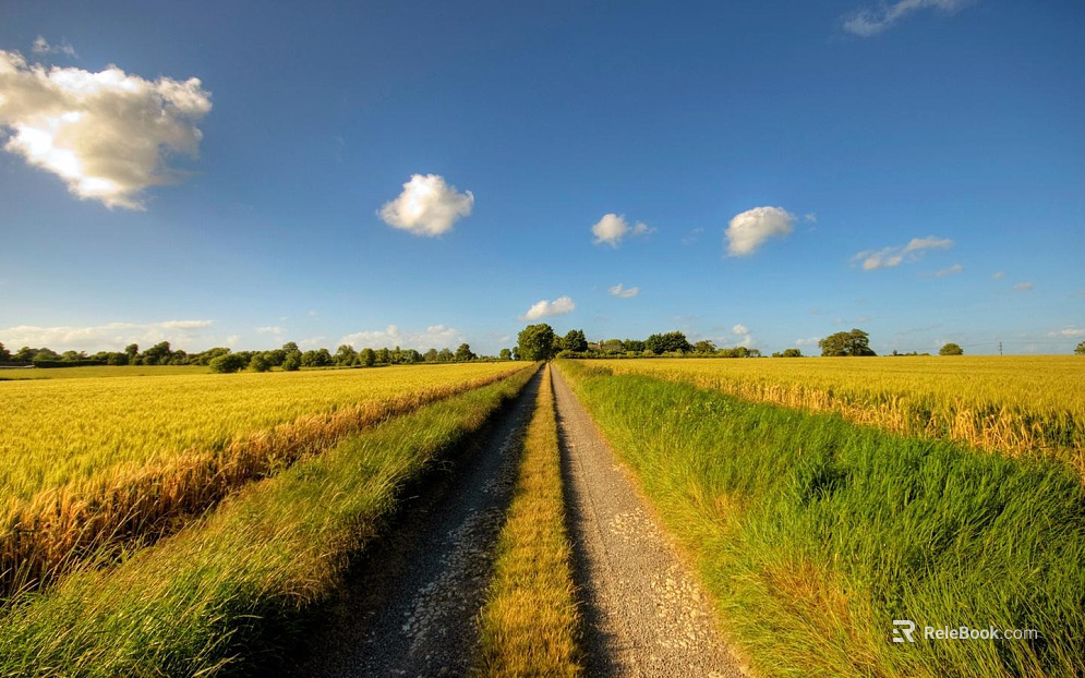 Wild Scenery texture