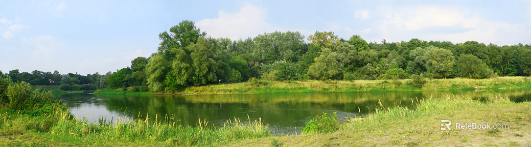 Wild Scenery texture