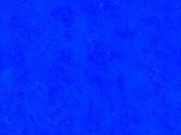 Dark blue artistic wall paint texture (ID:ffaeh233836)