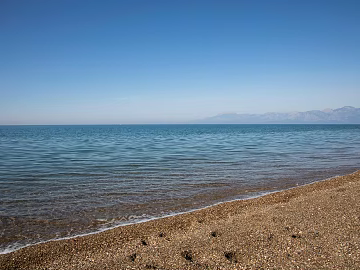 Wild Scenery texture (ID:ffagg54318)