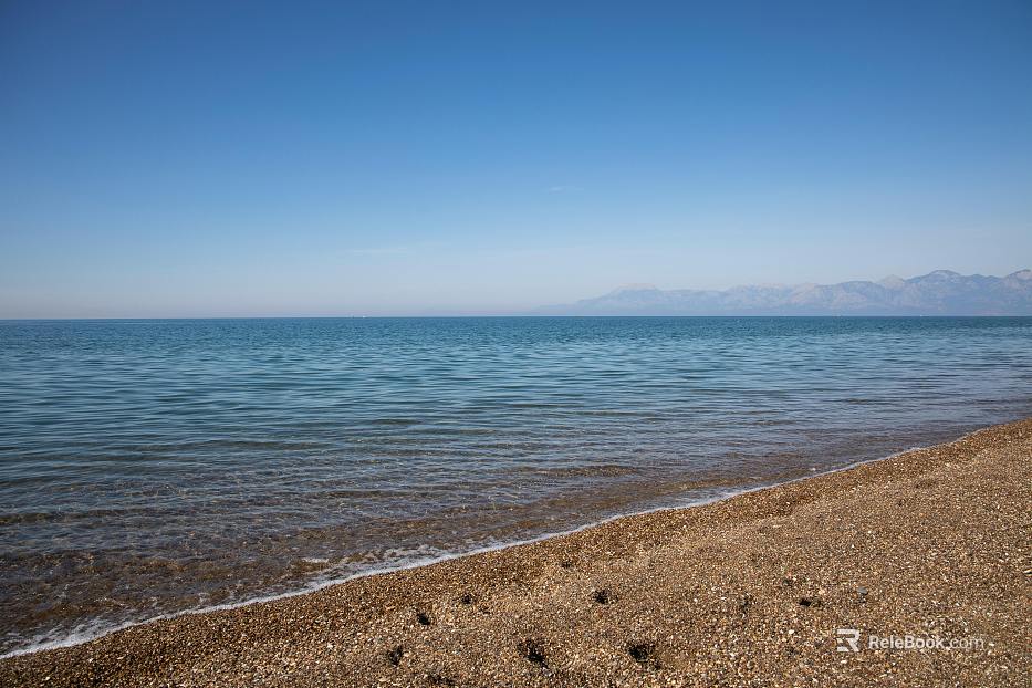 Wild Scenery texture