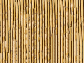 Bamboo texture (ID:ffabg24800)