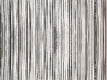 Black and White Bump 3d model