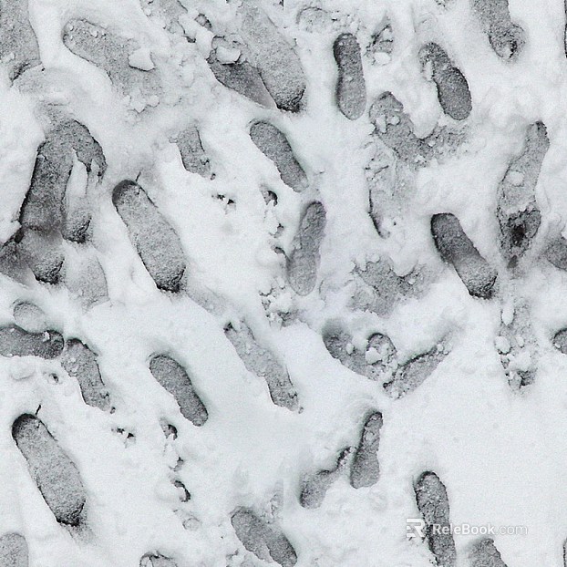 Ground-Snow texture