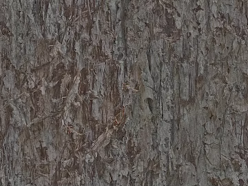 bark texture (ID:ffadf9737)