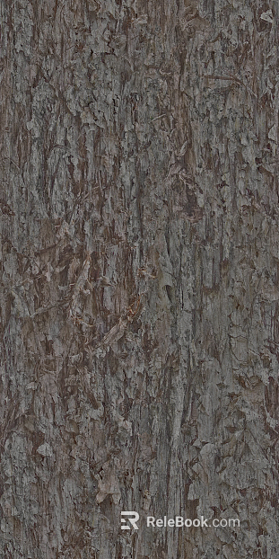 bark texture