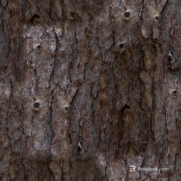 bark texture